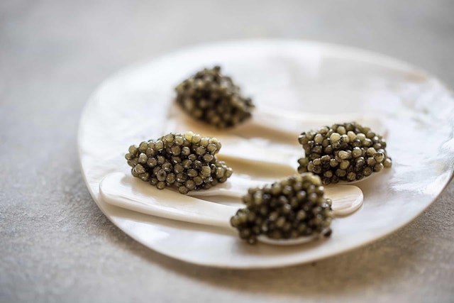 Elegant caviar servings on white spoons placed on a pristine porcelain plate.